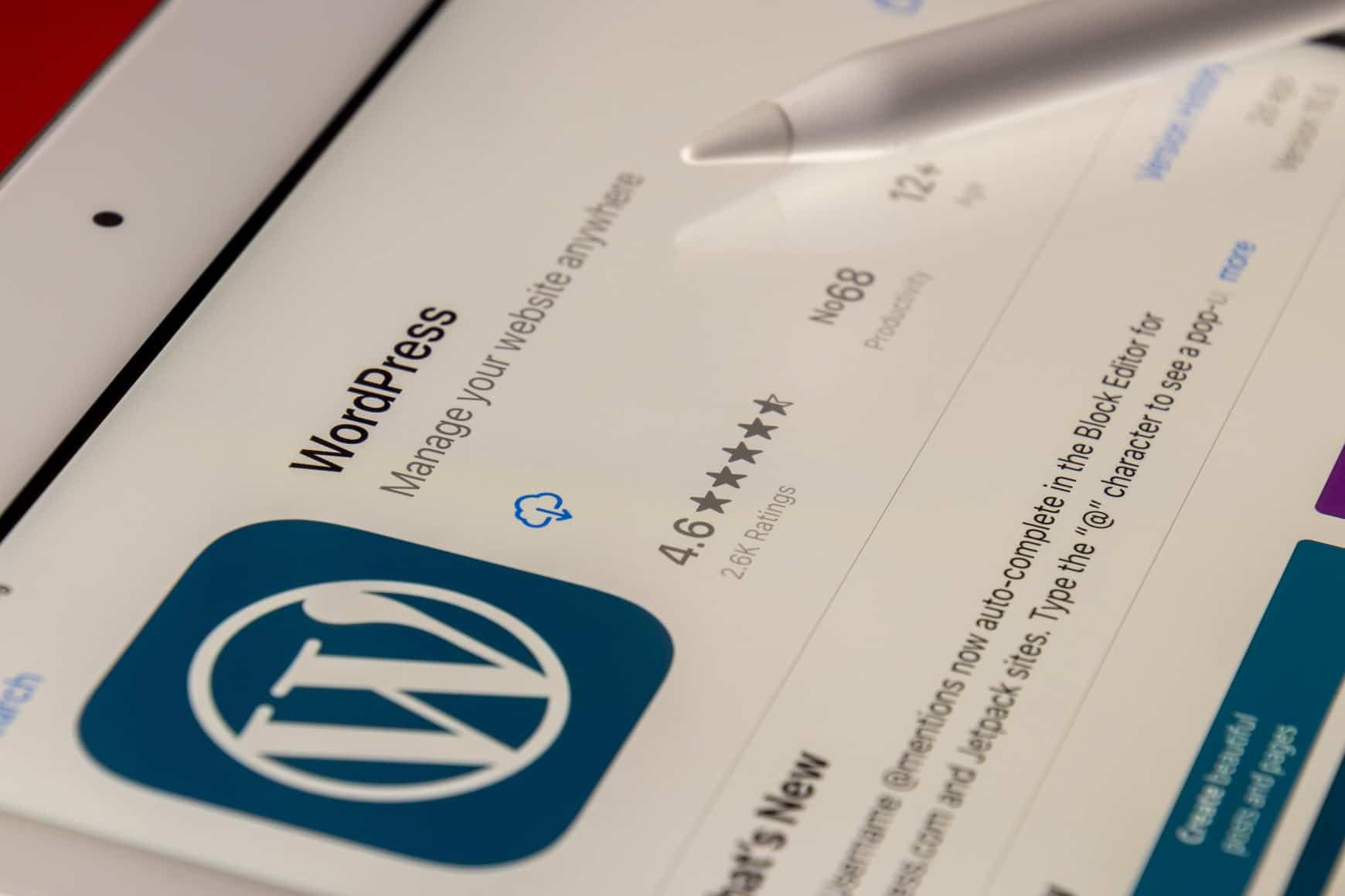 We take care of your wordpress site so you can take care of business.